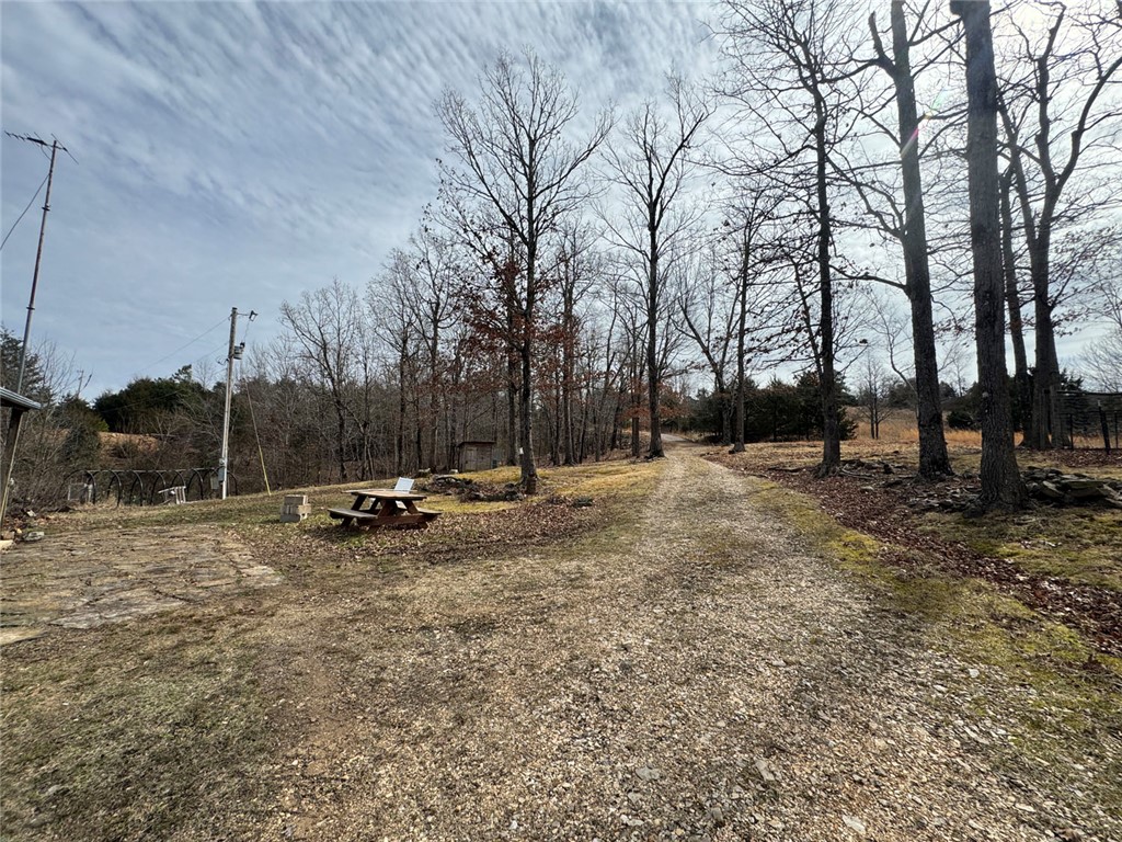 Image 14
