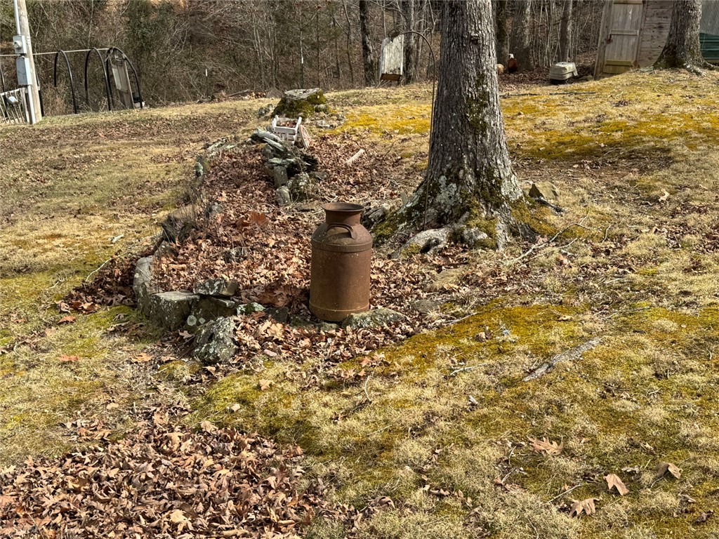 Image 15