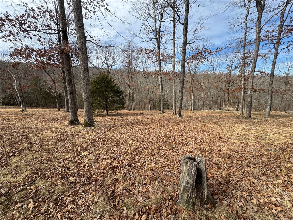 Image 18
