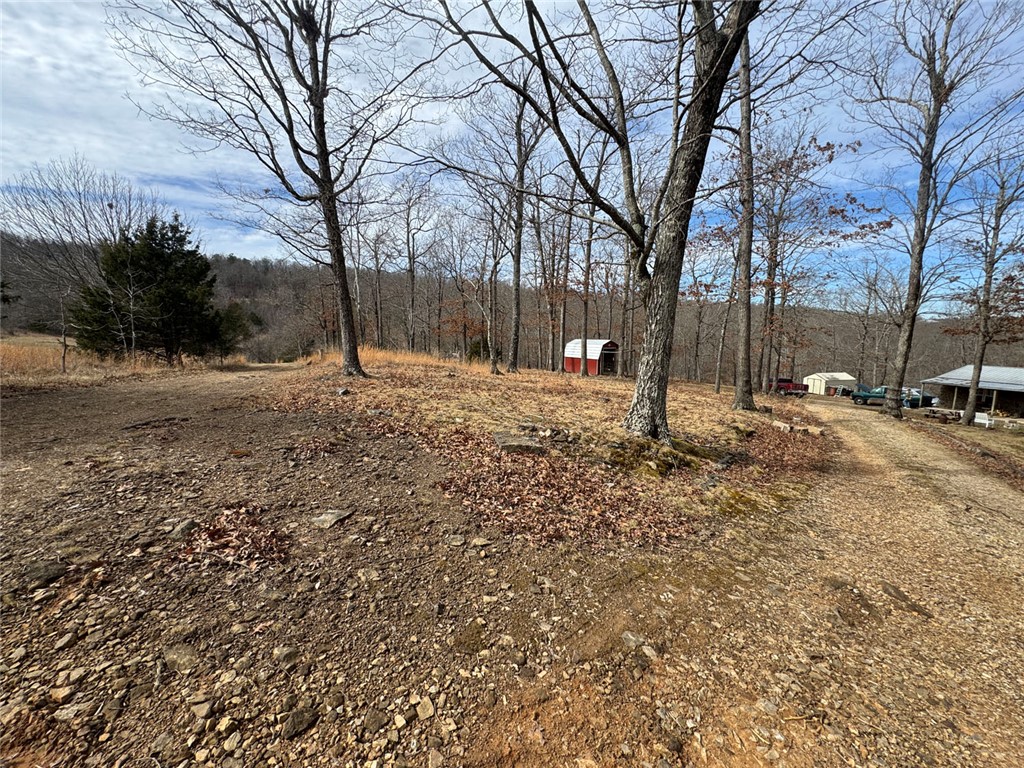 Image 19
