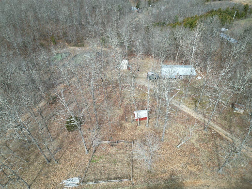 Image 48