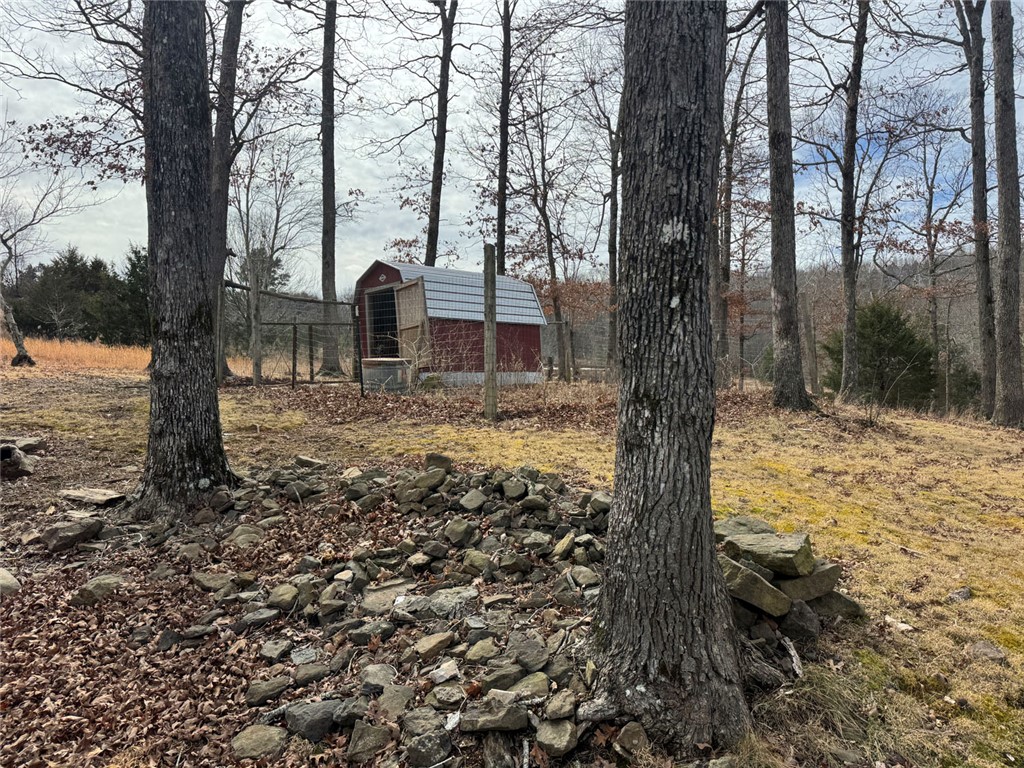 Image 52