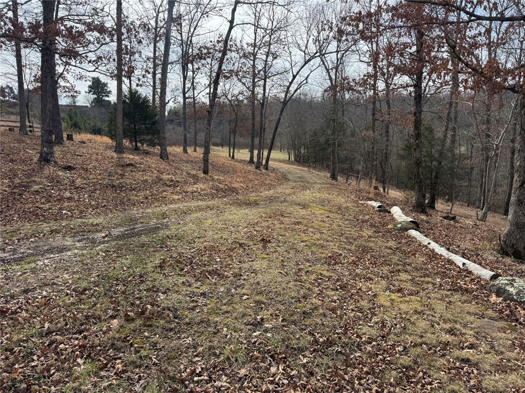 Image 9