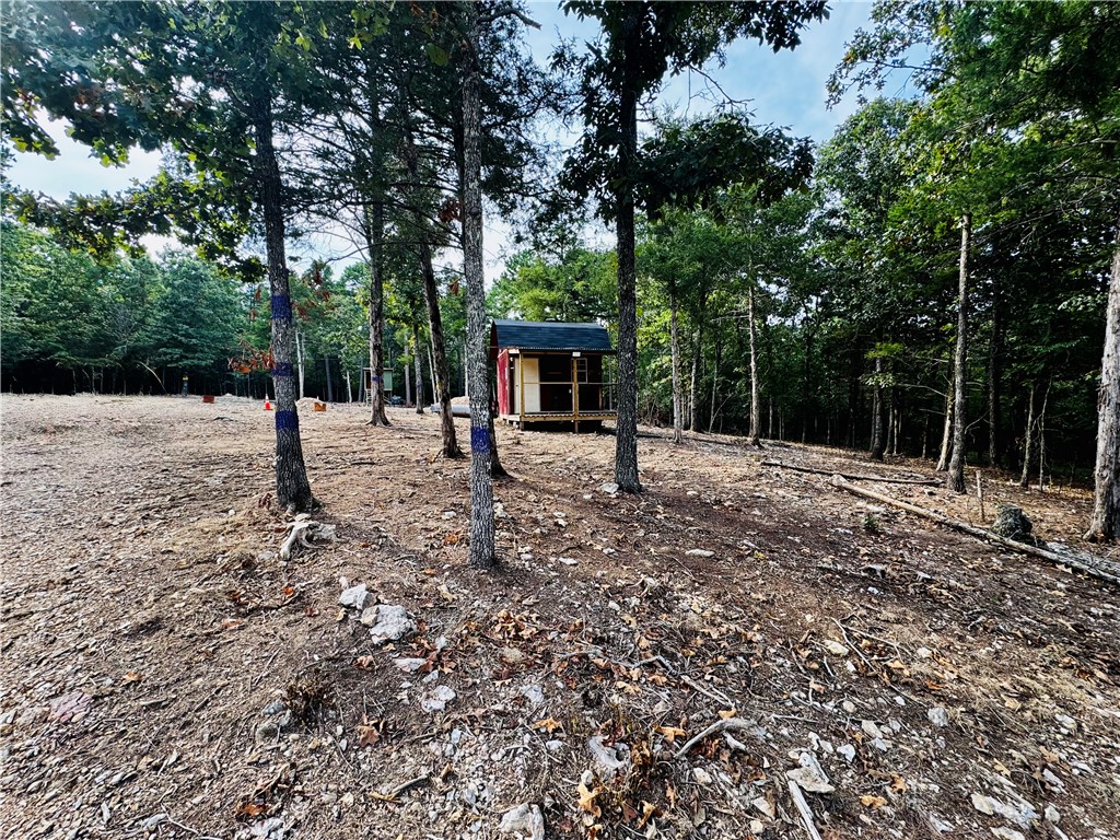 Image 6