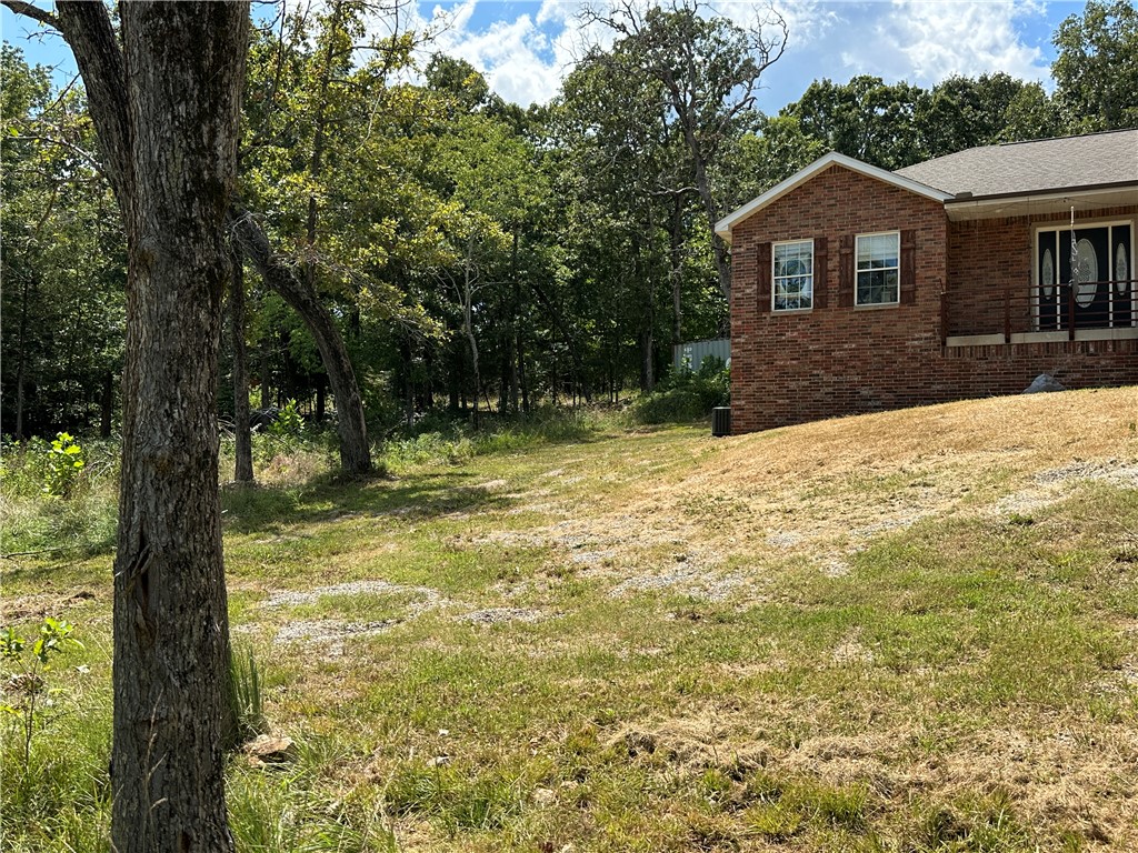 Image 19