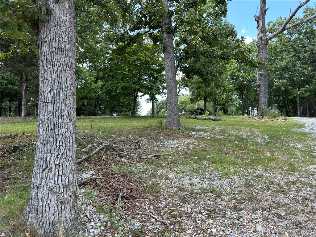 Image 25