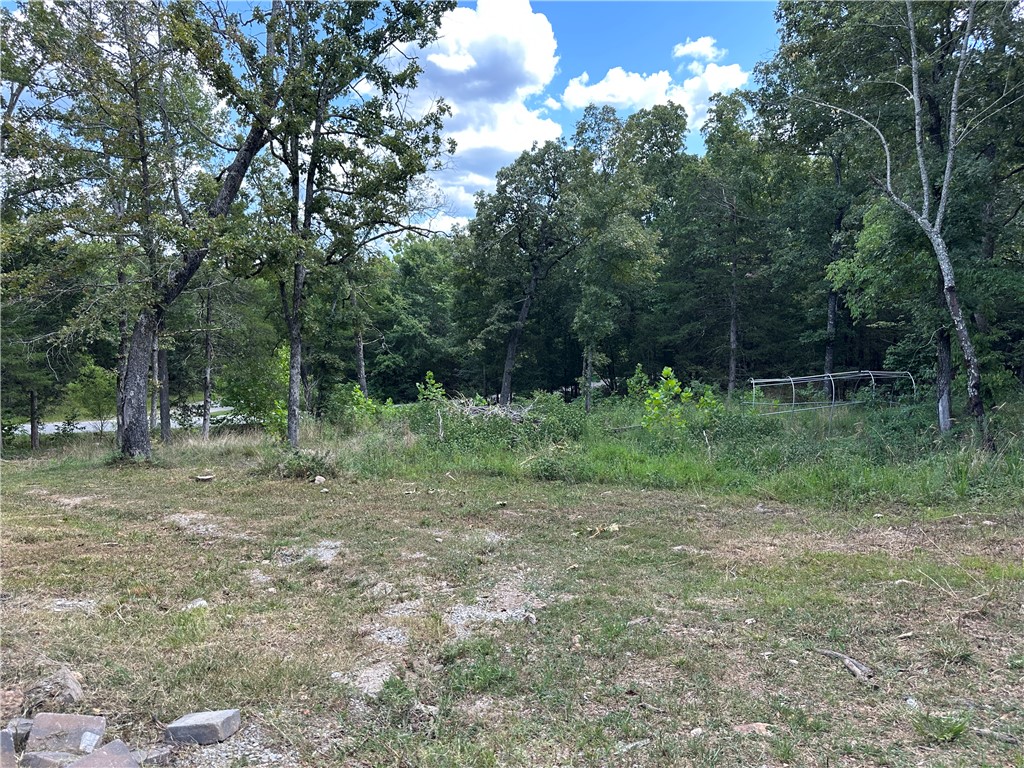 Image 30