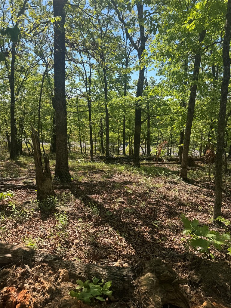Image 8