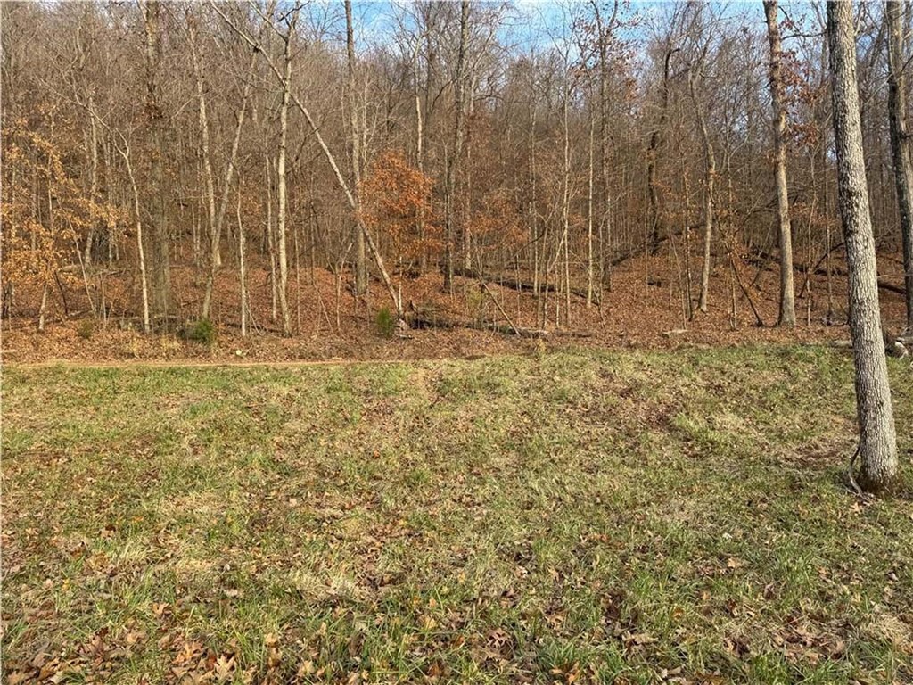 Image 12