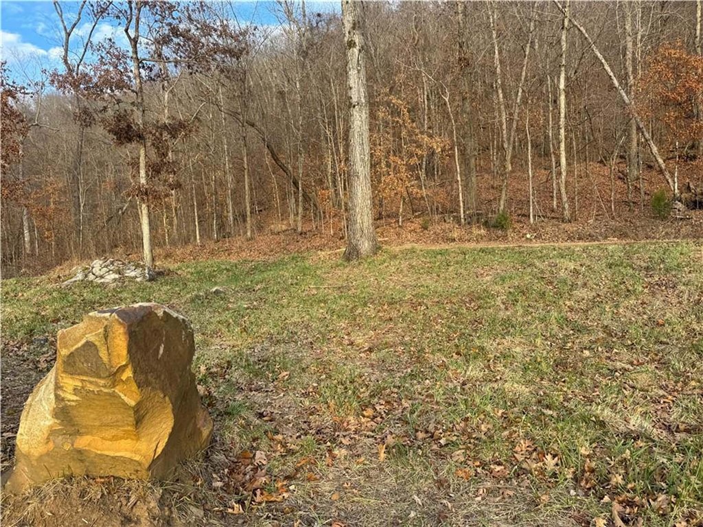 Image 13