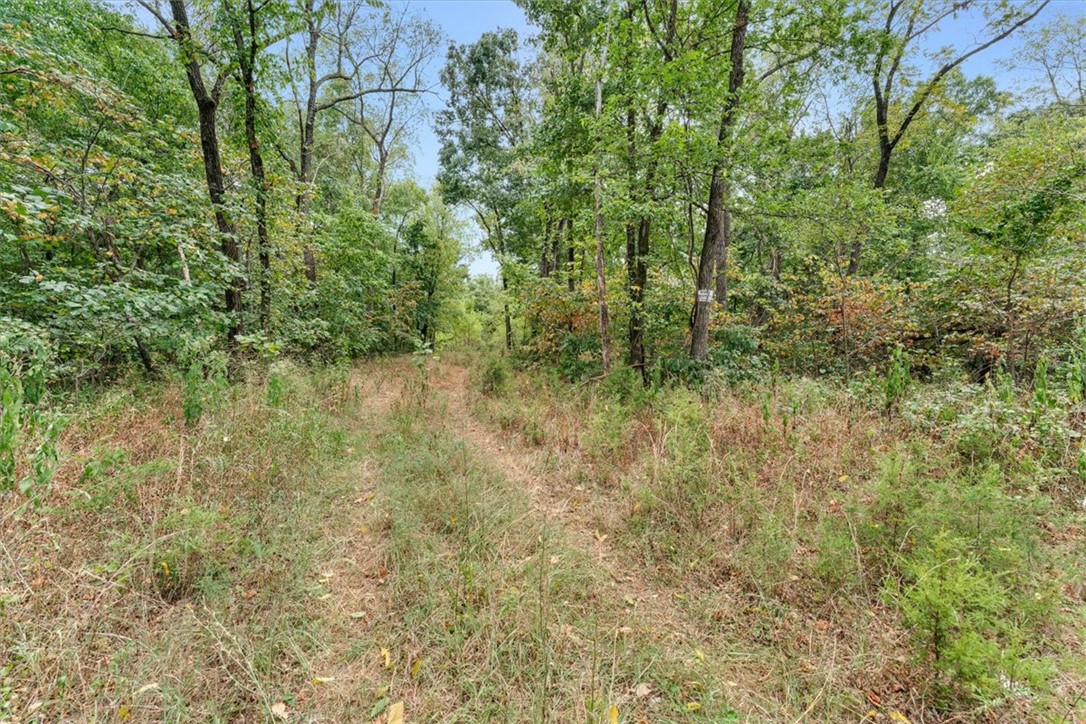 Image 13