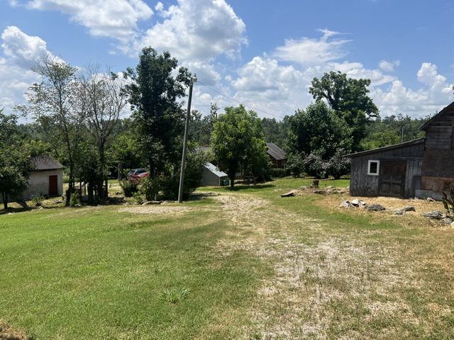 Image 11