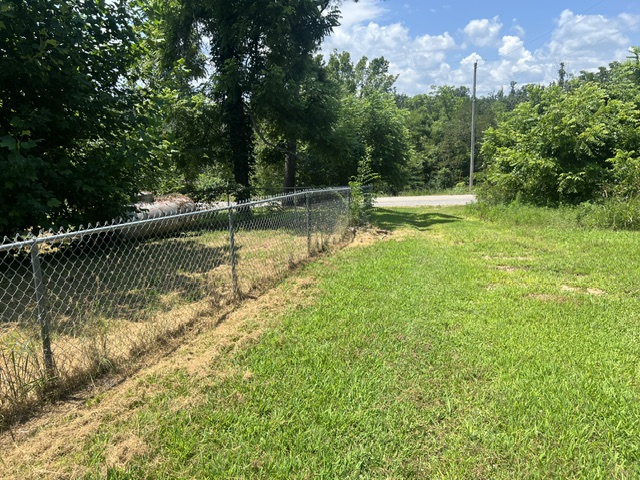Image 14