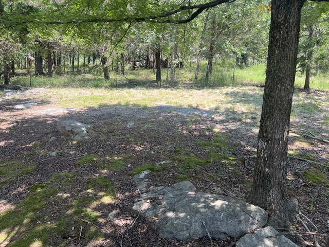 Image 38