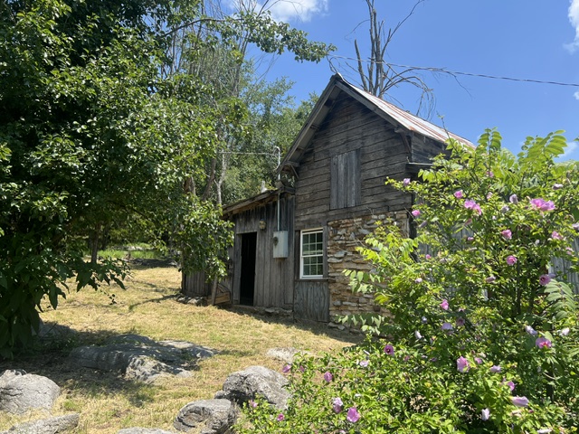 Image 8