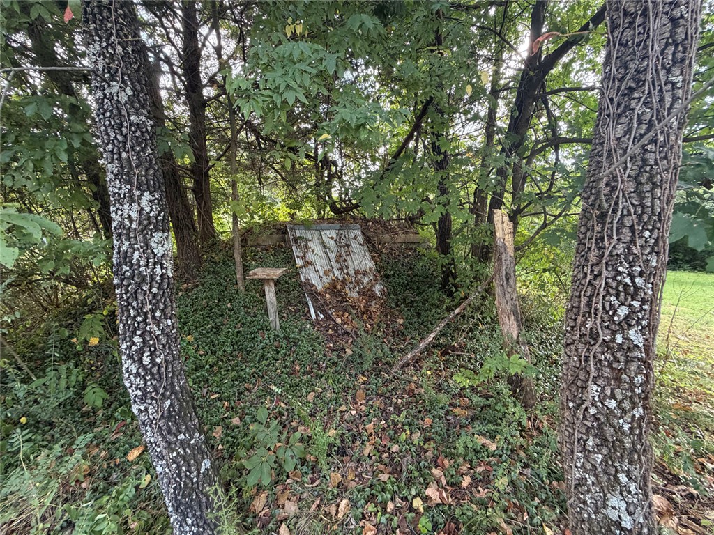 Image 30