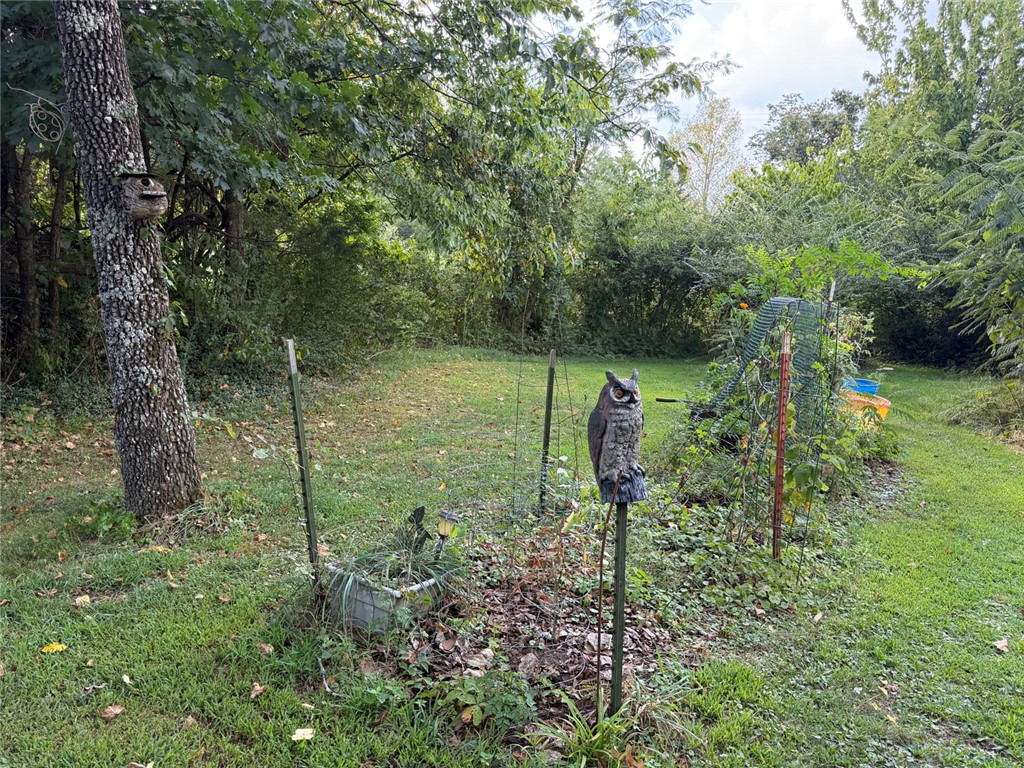 Image 31