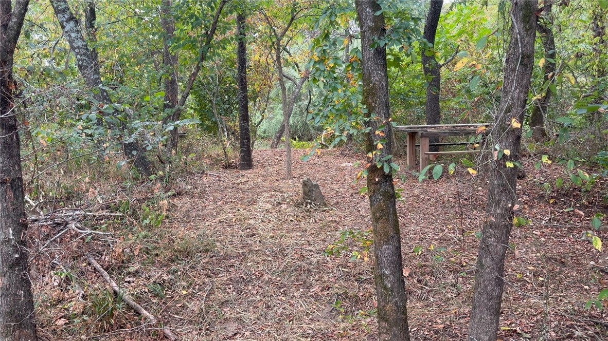 Image 19