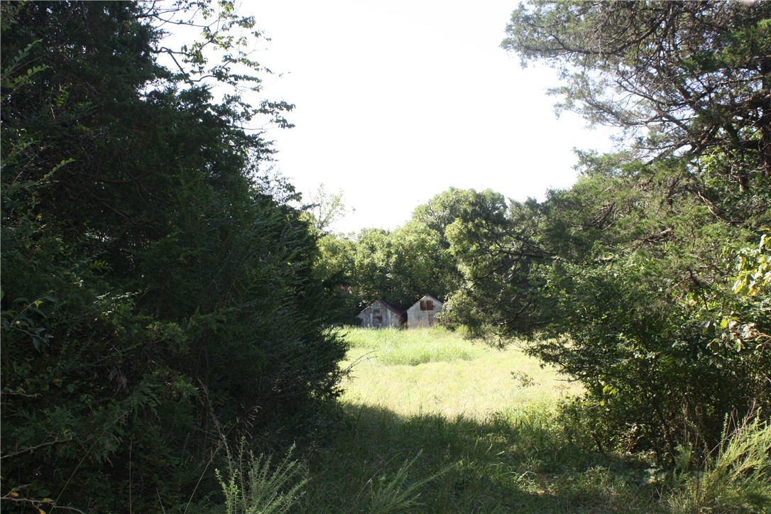 Image 13