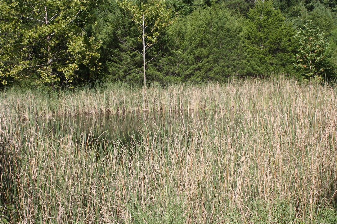 Image 14