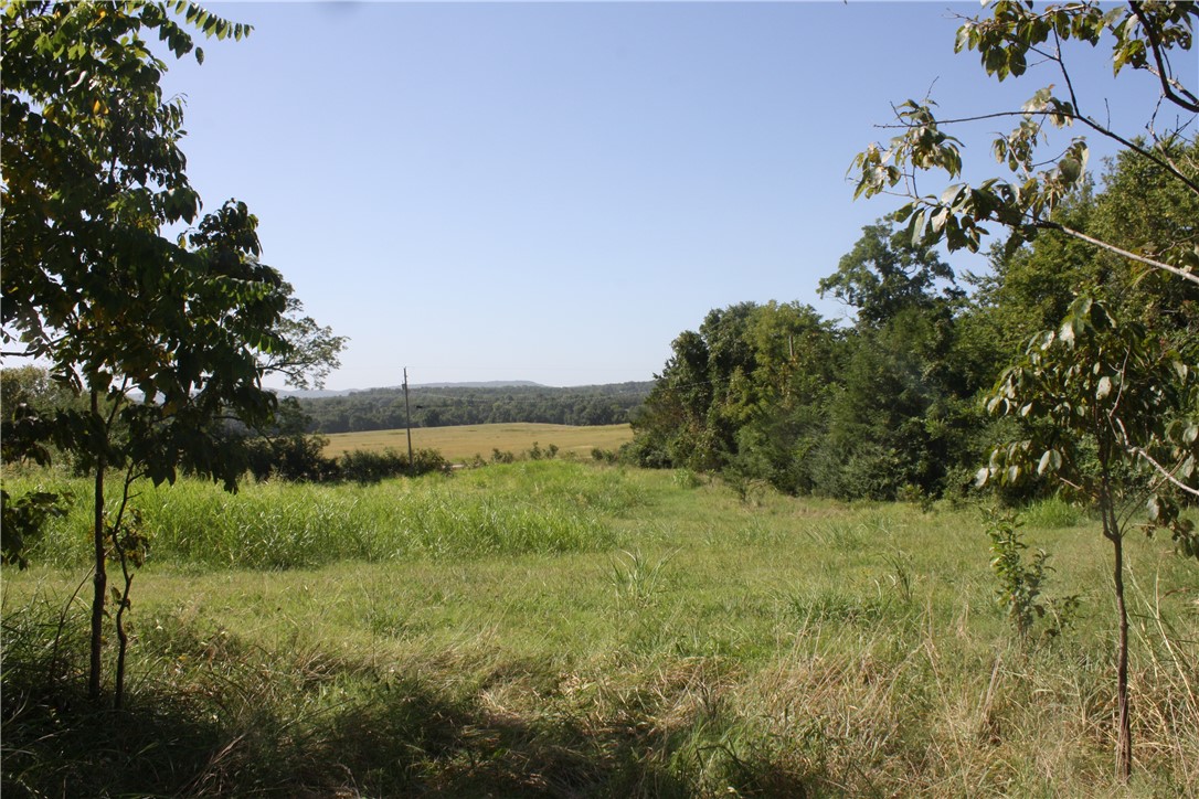 Image 16