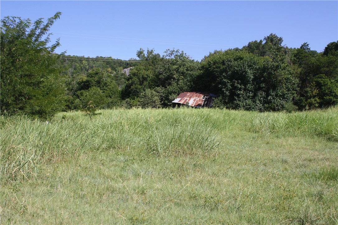 Image 19