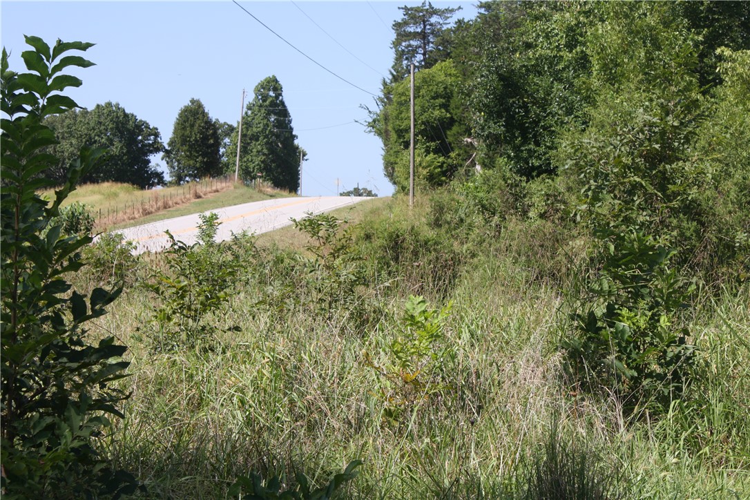 Image 20