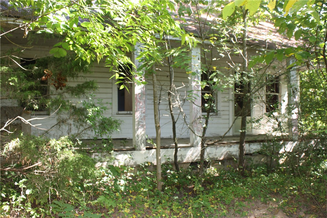 Image 22
