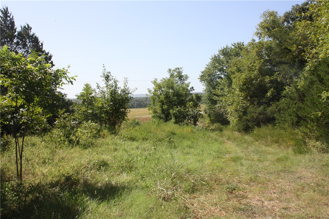 Image 23