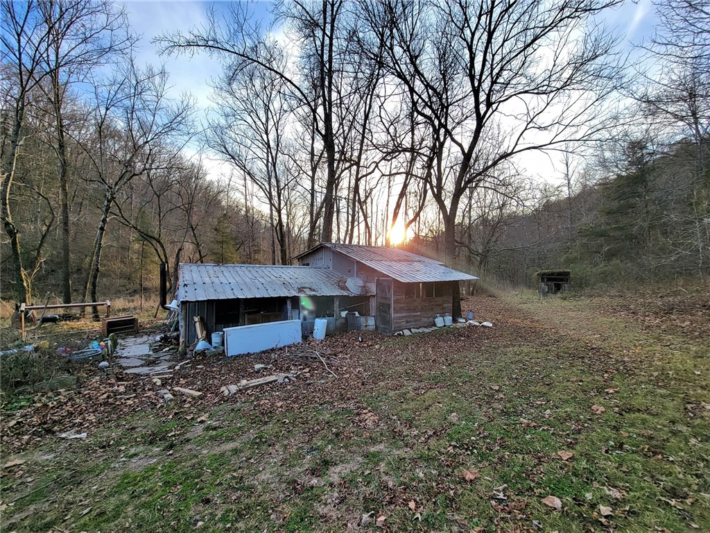 Image 15