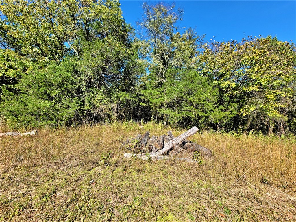 Image 19