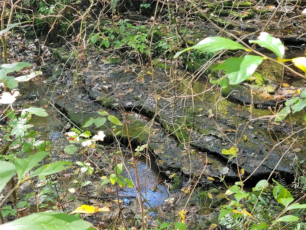 Image 30