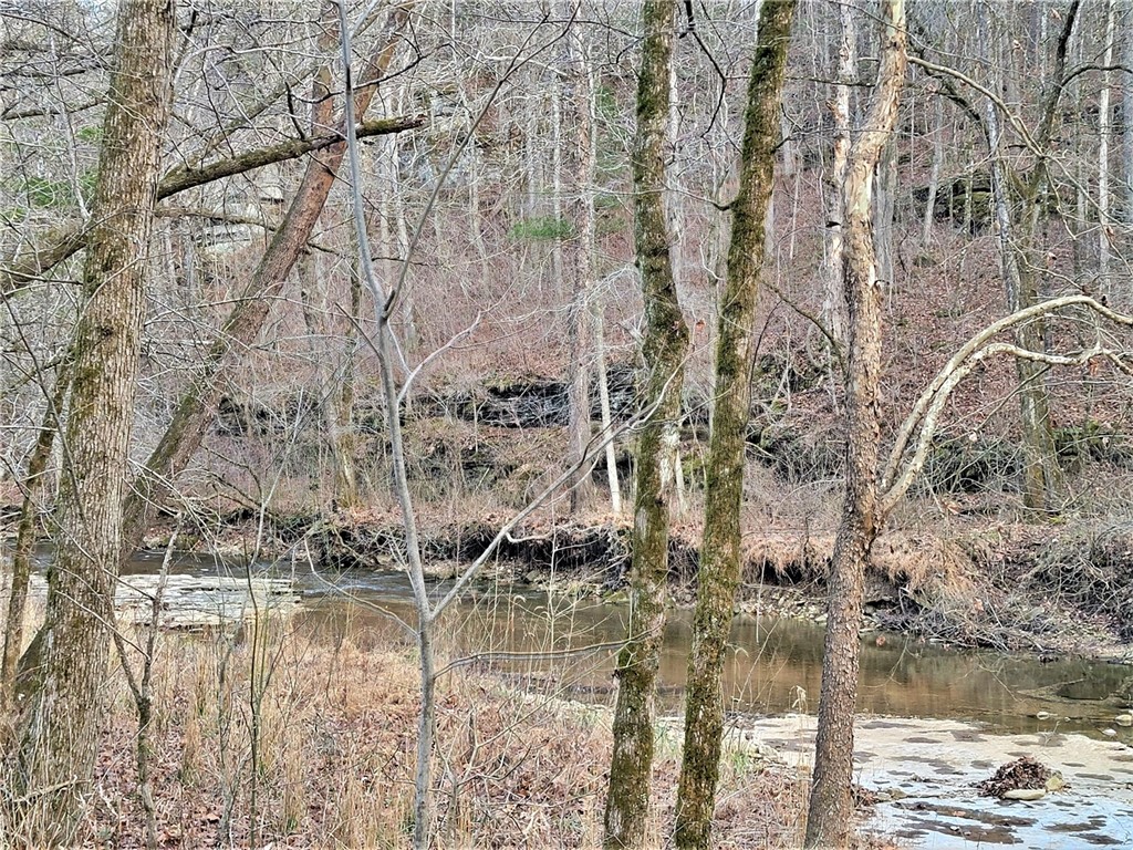 Image 33