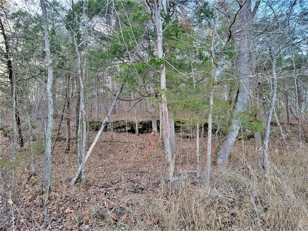 Image 36