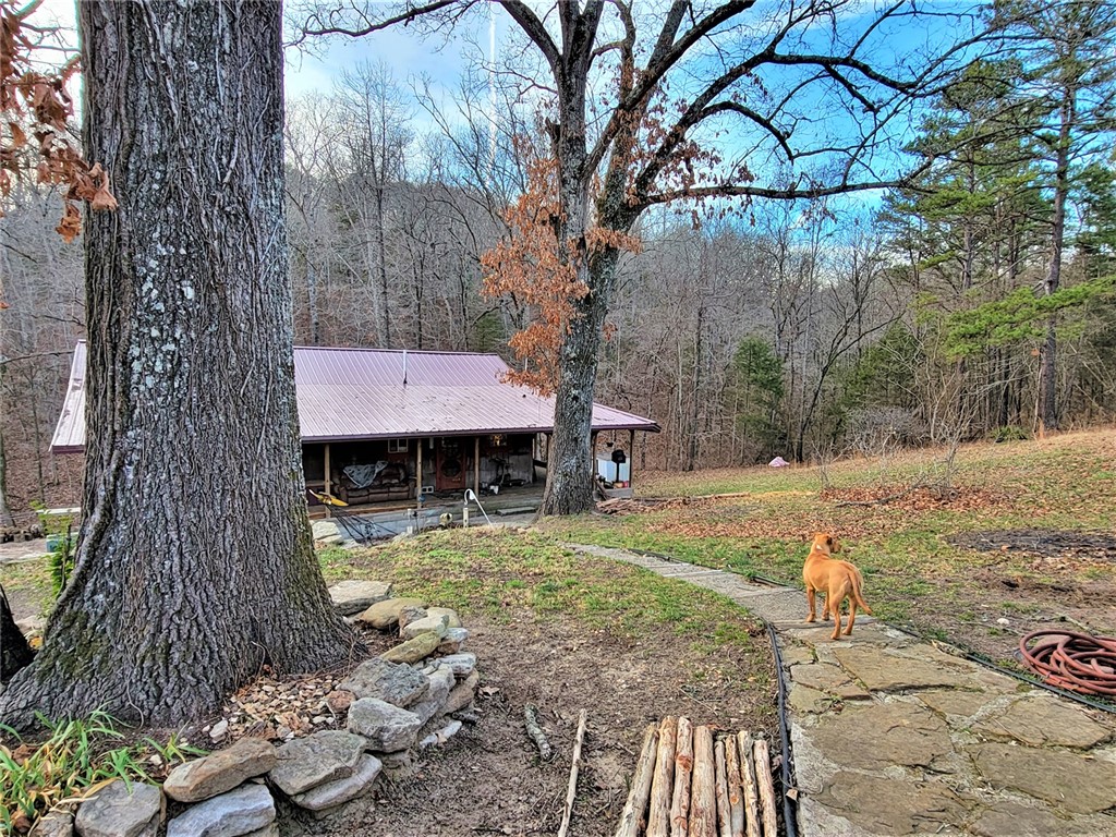 Image 4