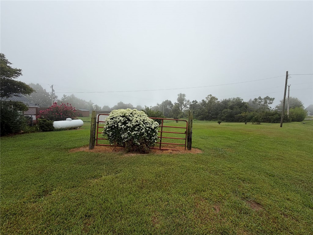 Image 38