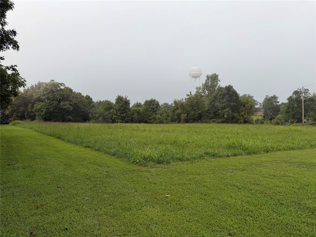 Image 49