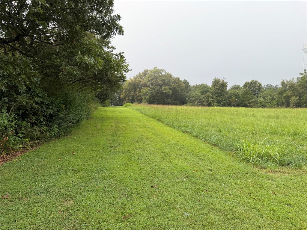 Image 50