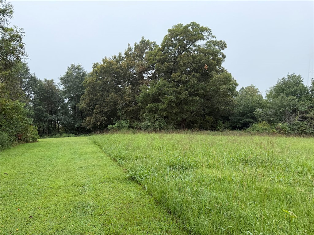Image 51