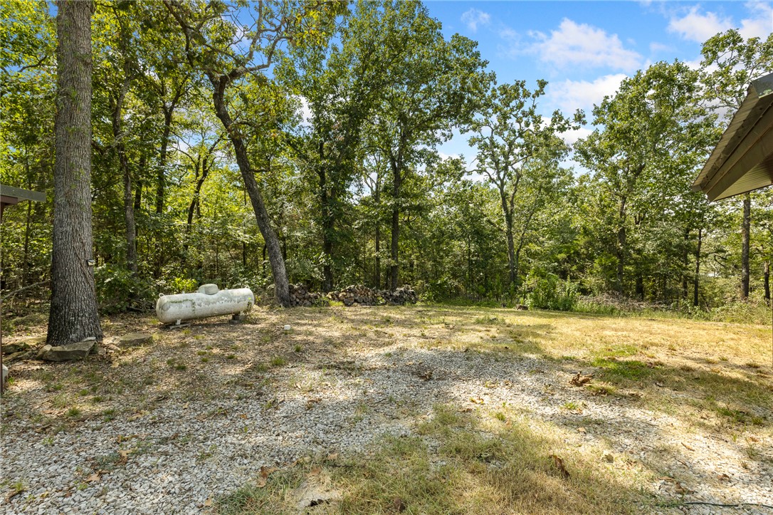Image 27