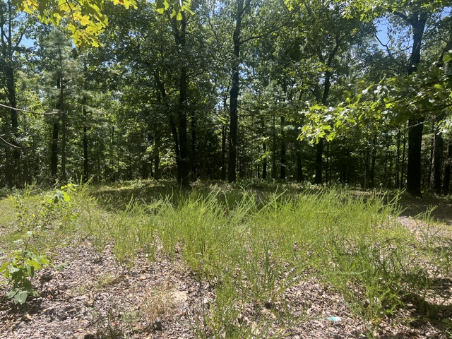 Image 13