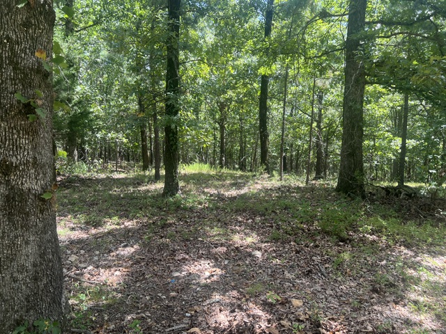 Image 14