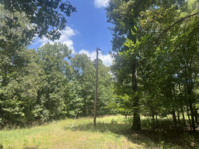 Image 15