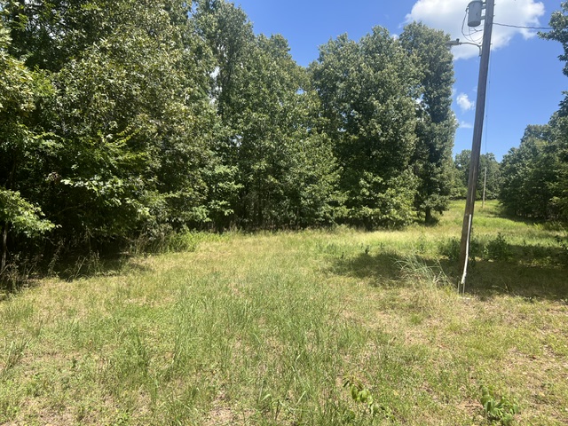 Image 25