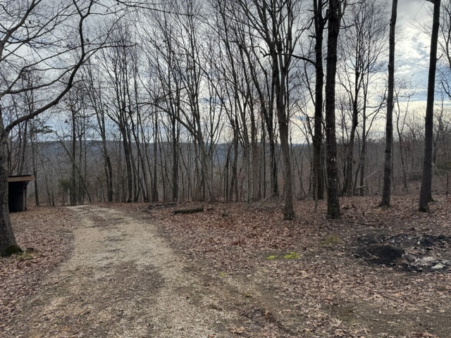 Image 37
