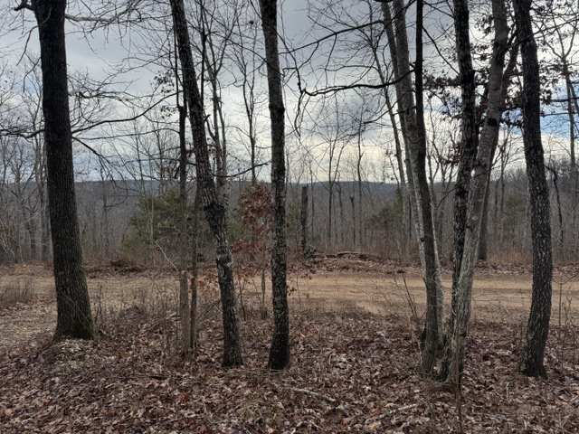 Image 38