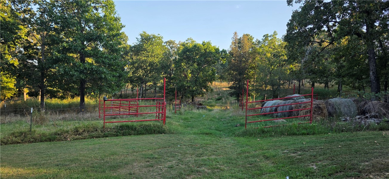 Image 51