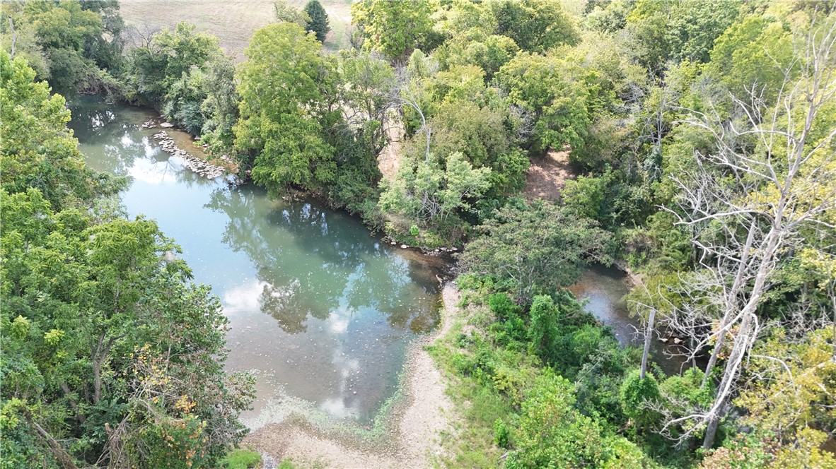 Image 15