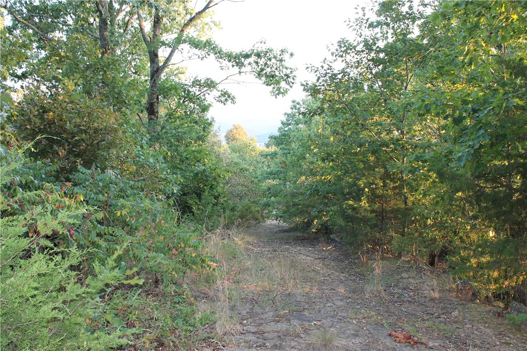 Image 10
