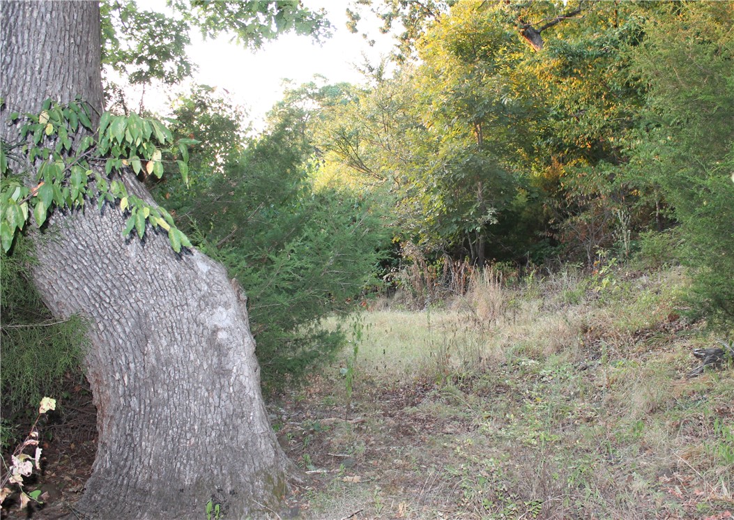 Image 13